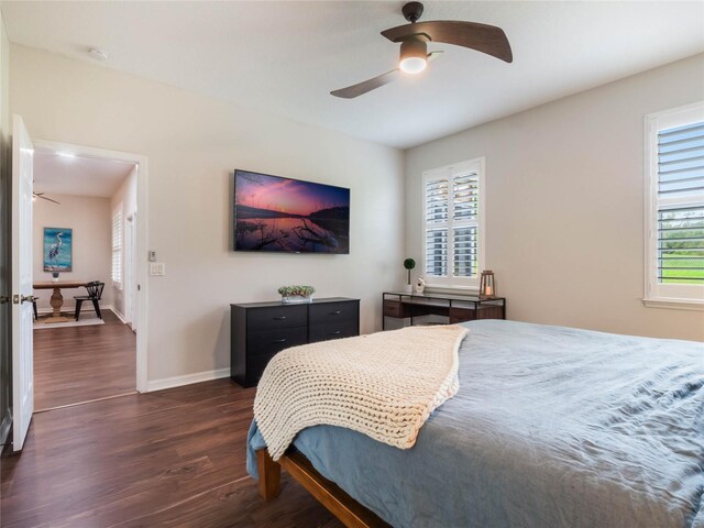 8019 Arcadian Ct, Mount Dora, FL 32757 - photo 20