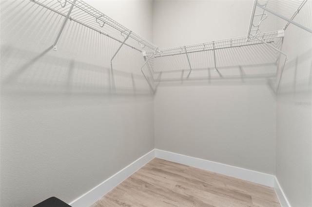 205 E 17th St, Apopka, FL 32703 - walk in closet with light wood-style flooring