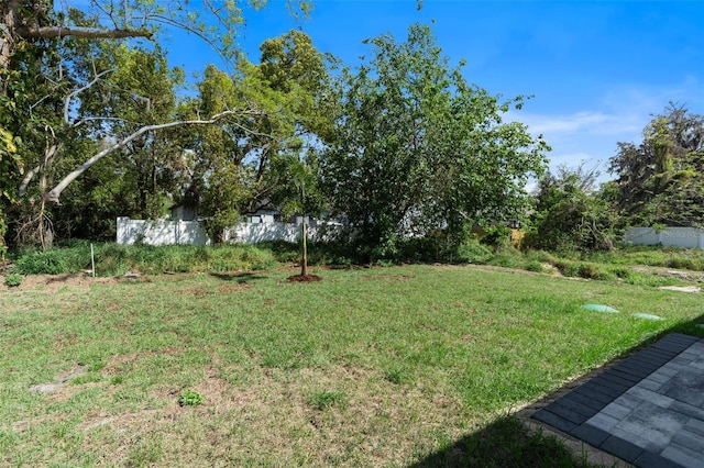 205 E 17th St, Apopka, FL 32703 - view of yard