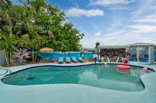 view of pool featuring a patio area