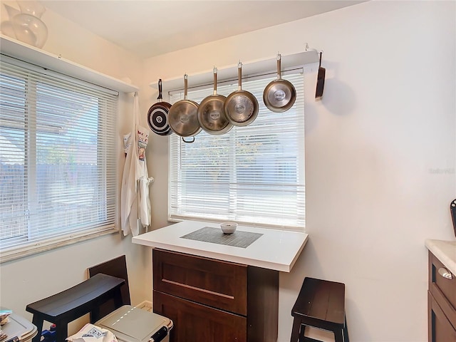 kitchen with dark brown cabinetry