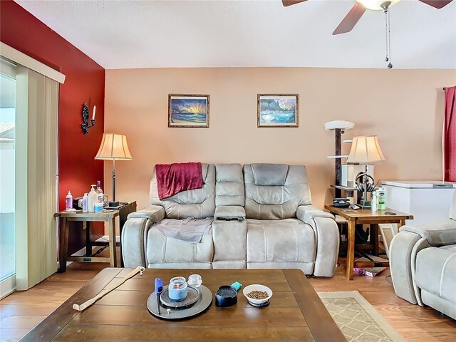 living room with ceiling fan and light wood-type flooring