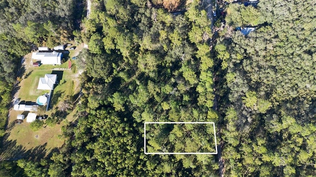 215 Quail Hollow Rd, Satsuma FL, 32189 land for sale