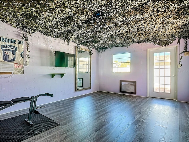 workout room with hardwood / wood-style flooring