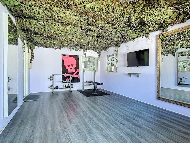 exercise room featuring wood-type flooring