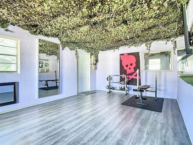 exercise area with hardwood / wood-style floors and a wealth of natural light