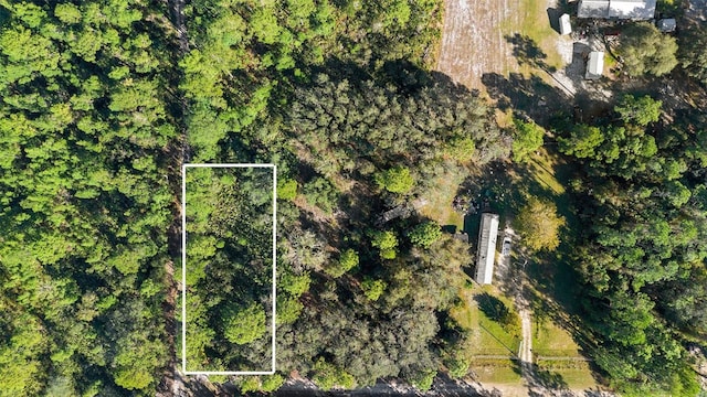 Cockscrow Rd, Satsuma, FL 32189