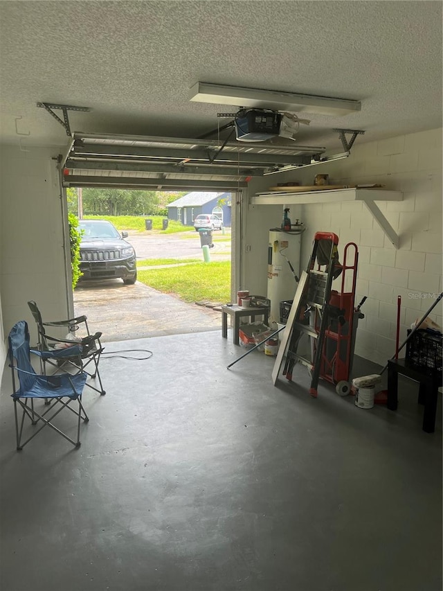 garage featuring a garage door opener and gas water heater