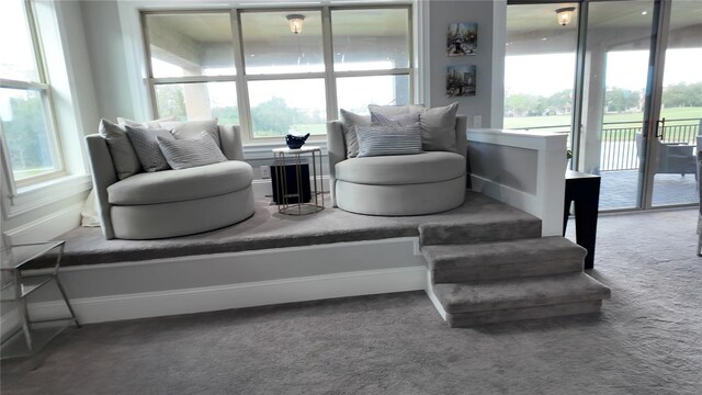 9859 Winnington St, Orlando, FL 32832 - photo 33