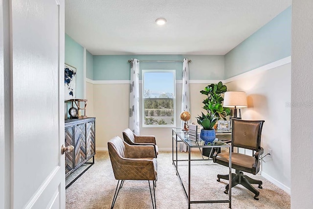 sitting room with light carpet and a textured ceiling