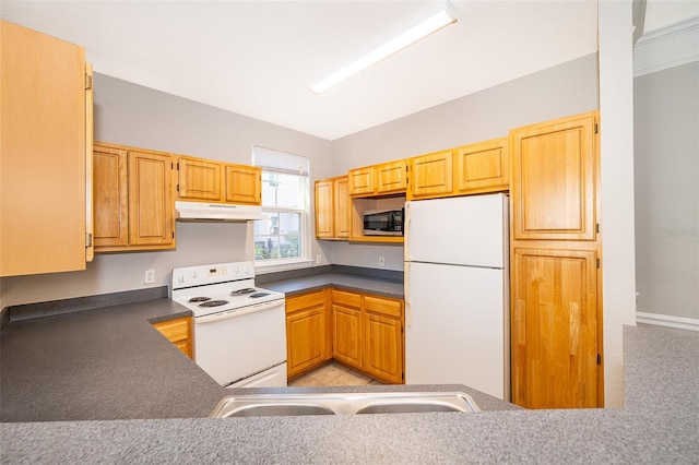 kitchen with white appliances and sink