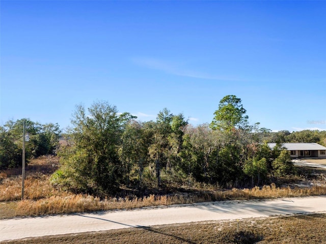 SW 169th Ct, Ocala FL, 34481 land for sale