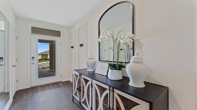 foyer with dark hardwood / wood-style flooring