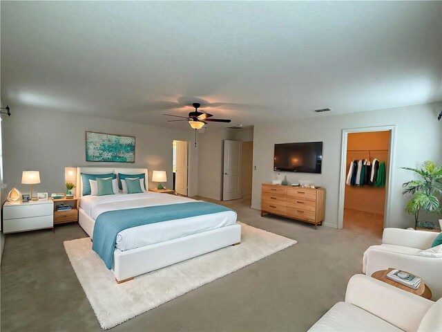 bedroom with ceiling fan, a spacious closet, and a closet