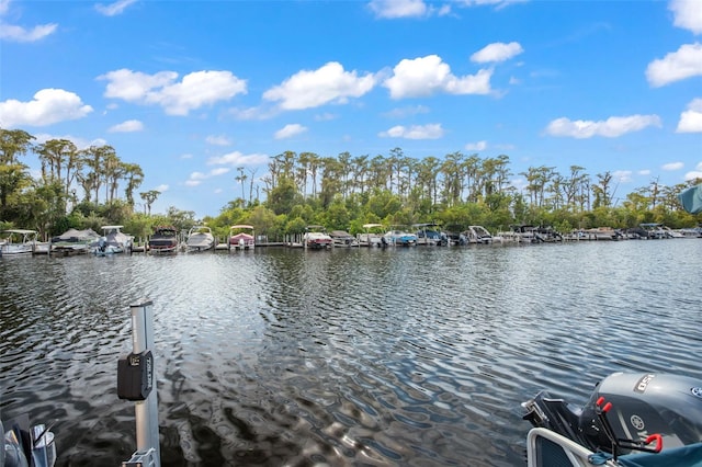 view of dock with a water view