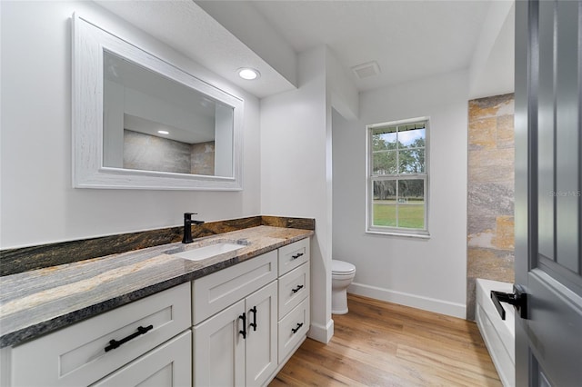 bathroom with hardwood / wood-style flooring, vanity, and toilet