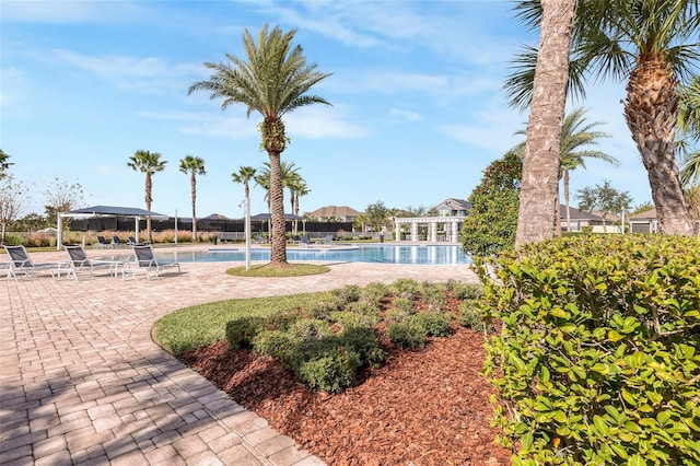 view of pool with a patio