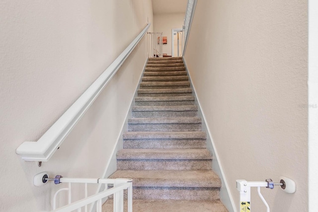 stairs featuring carpet flooring