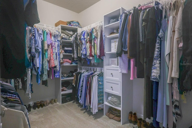 spacious closet featuring light colored carpet