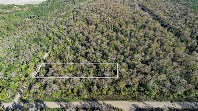 3911 Evergreen Ave, Bunnell FL, 32110 land for sale