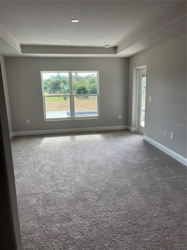 spare room featuring a raised ceiling, a textured ceiling, and carpet