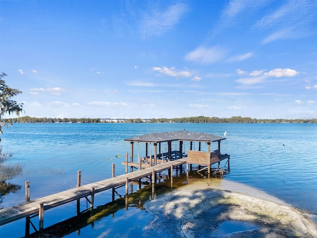 dock area with a water view