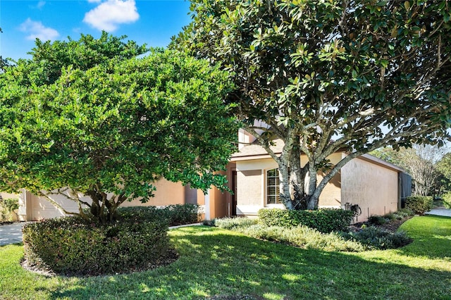 obstructed view of property with a front yard