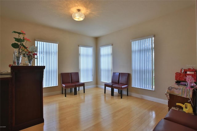 sitting room featuring light wood-type flooring