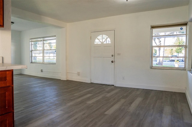 entryway with a healthy amount of sunlight and dark wood-type flooring