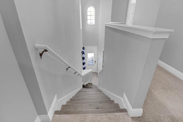 staircase featuring carpet