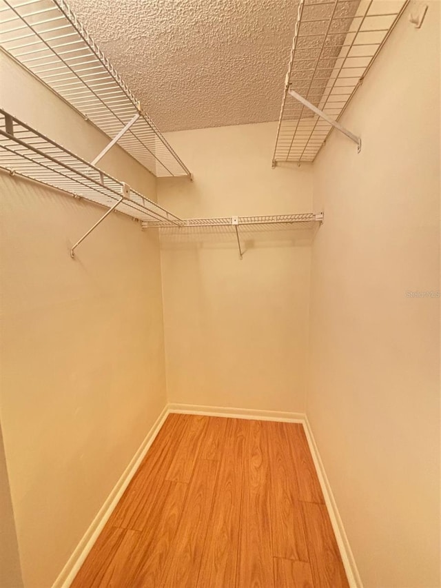 walk in closet featuring hardwood / wood-style flooring