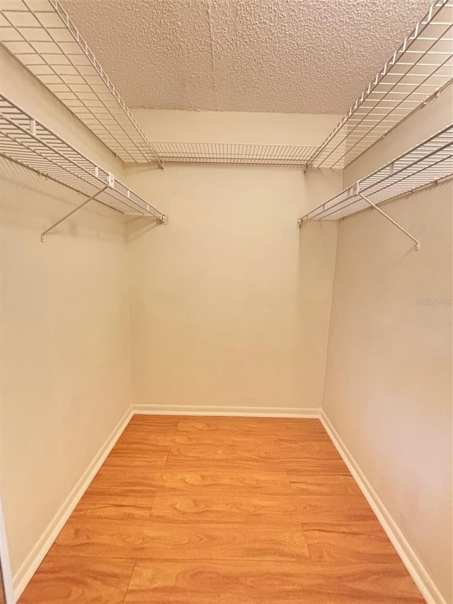 spacious closet featuring light hardwood / wood-style flooring