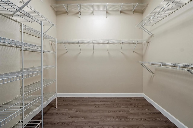 spacious closet with dark hardwood / wood-style flooring