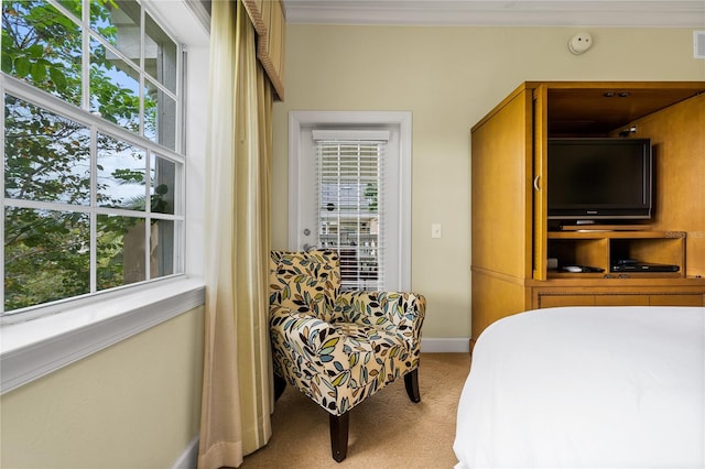 bedroom with multiple windows, crown molding, and carpet