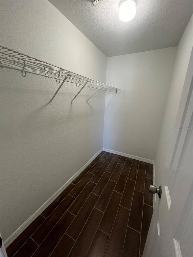 6336 Florida Cir, Apollo Beach, FL 33572 - spacious closet with wood finish floors