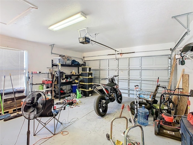 garage with a garage door opener