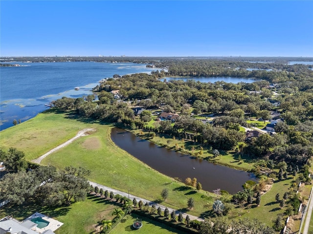 10948 Down Park Ln, Windermere, FL 34786 - photo 2