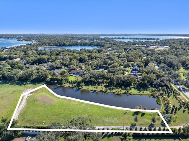 Listing photo 3 for 10948 Down Park Ln, Windermere FL 34786