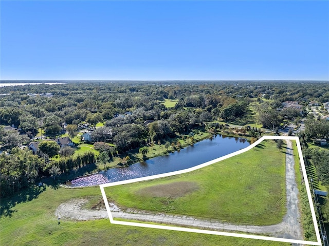 10948 Down Park Ln, Windermere, FL 34786 - photo 4