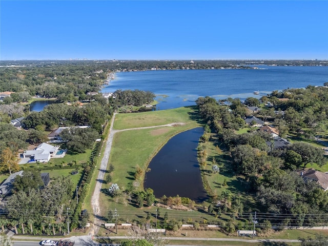 10948 Down Park Ln, Windermere, FL 34786 - photo 6