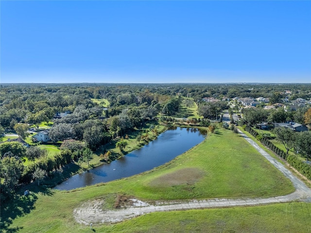 10948 Down Park Ln, Windermere, FL 34786 - photo 7