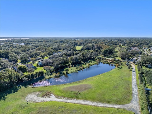 10948 Down Park Ln, Windermere, FL 34786 - photo 8