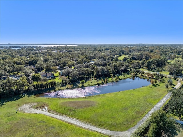 10948 Down Park Ln, Windermere, FL 34786 - photo 9