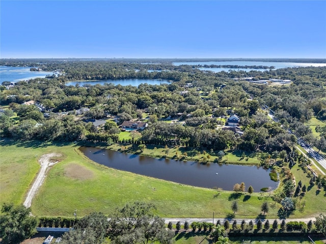 10948 Down Park Ln, Windermere, FL 34786 - photo 10