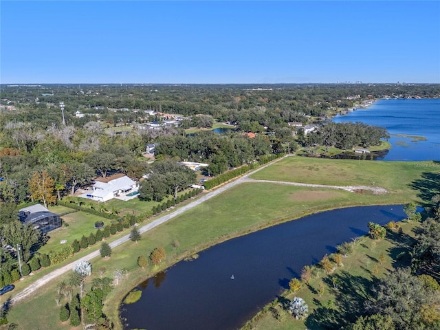 10948 Down Park Ln, Windermere, FL 34786 - photo 13