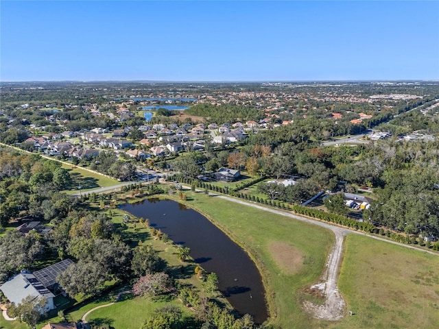 10948 Down Park Ln, Windermere, FL 34786 - photo 16