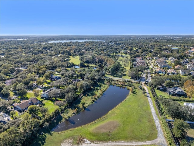 10948 Down Park Ln, Windermere, FL 34786 - photo 19