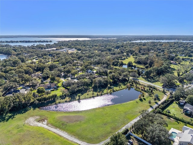 10948 Down Park Ln, Windermere, FL 34786 - photo 20
