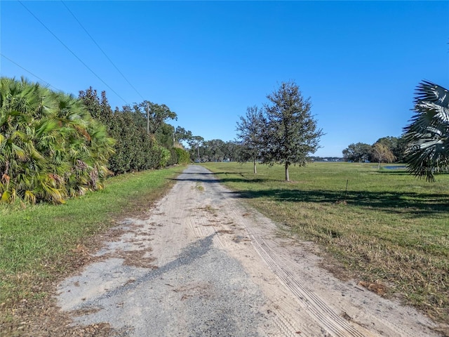 10948 Down Park Ln, Windermere, FL 34786 - photo 21