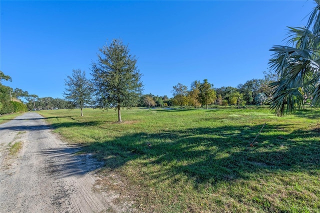 10948 Down Park Ln, Windermere, FL 34786 - photo 22